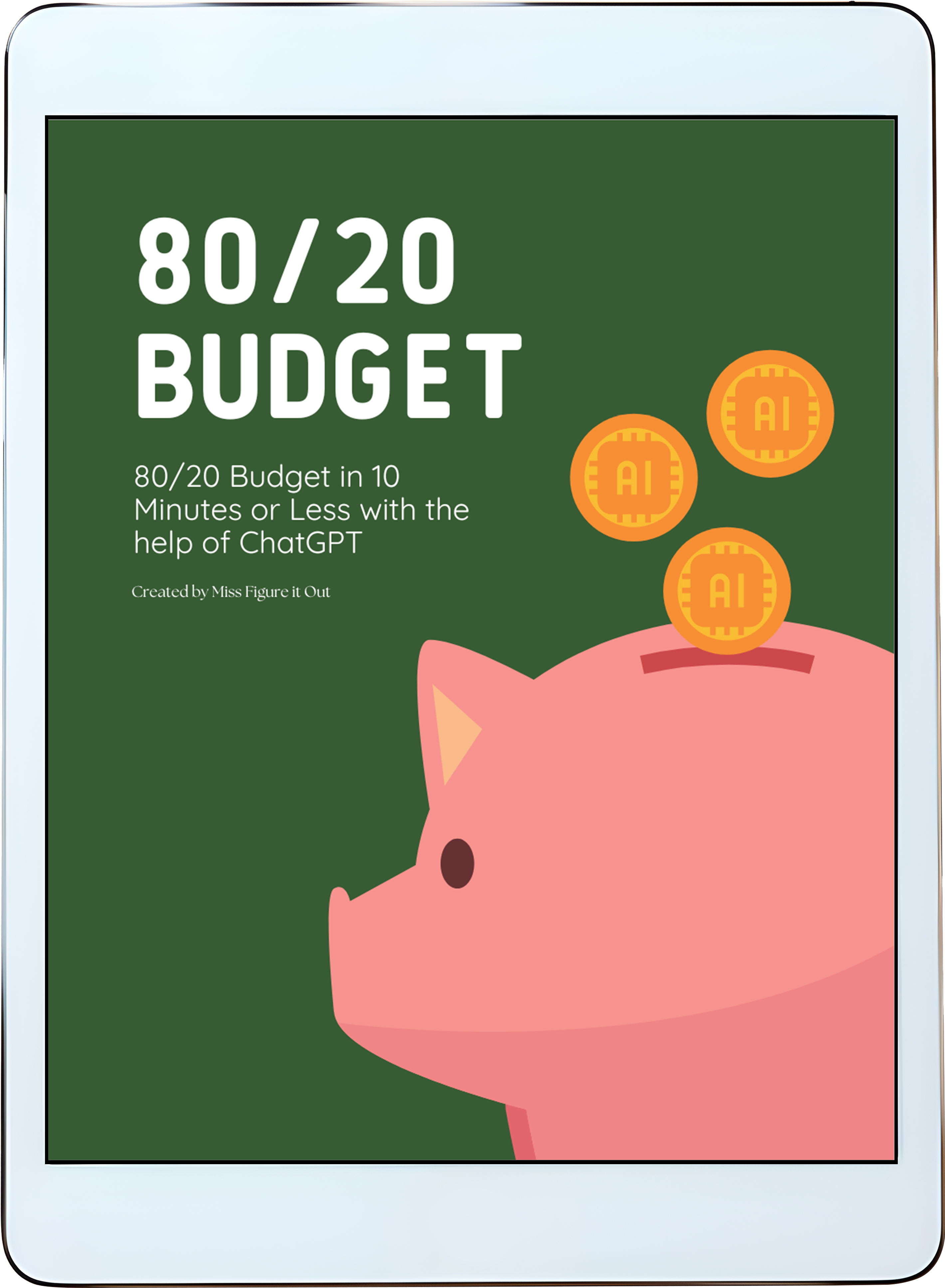 80_20 Budget Vertical